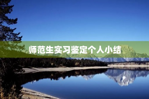 师范生实习鉴定个人小结