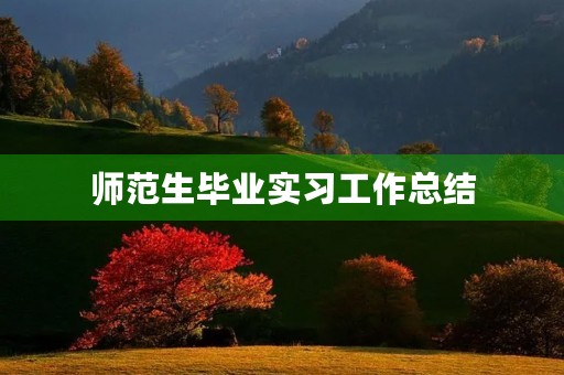 师范生毕业实习工作总结