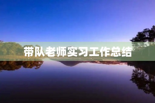 带队老师实习工作总结