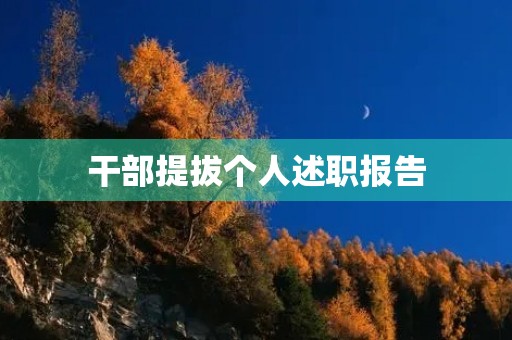 干部提拔个人述职报告(10篇) 干部提拔个人述职报告(10篇)