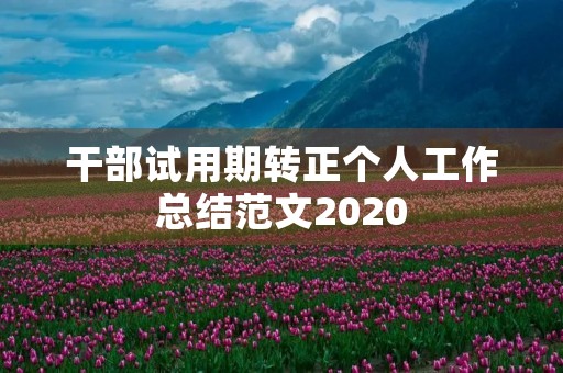 干部试用期转正个人工作总结范文2020