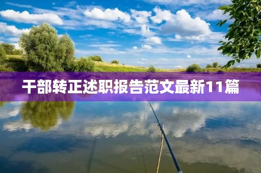 干部转正述职报告范文最新11篇