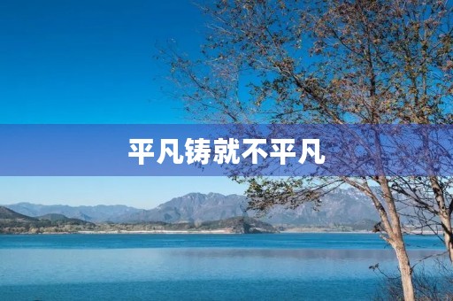 平凡铸就不平凡