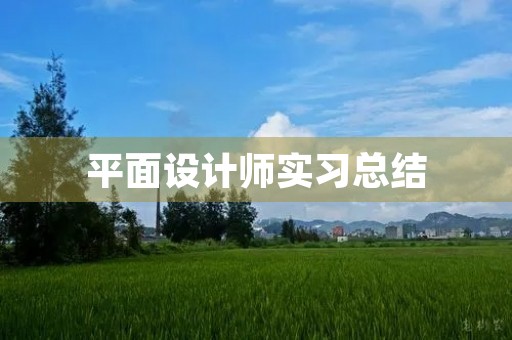 平面设计师实习总结 平面设计师实习总结
