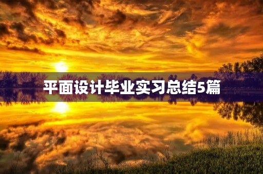 平面设计毕业实习总结5篇