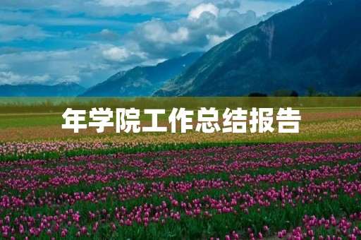 年学院工作总结报告