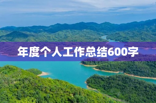 年度个人工作总结600字
