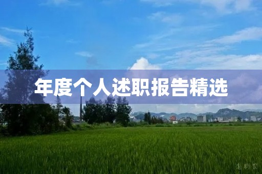 年度个人述职报告精选 年度个人述职报告精选