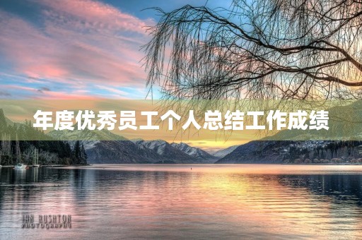 年度优秀员工个人总结工作成绩