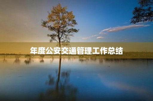 年度公安交通管理工作总结