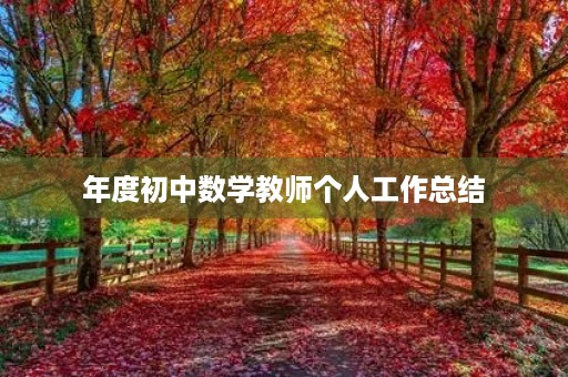 年度初中数学教师个人工作总结