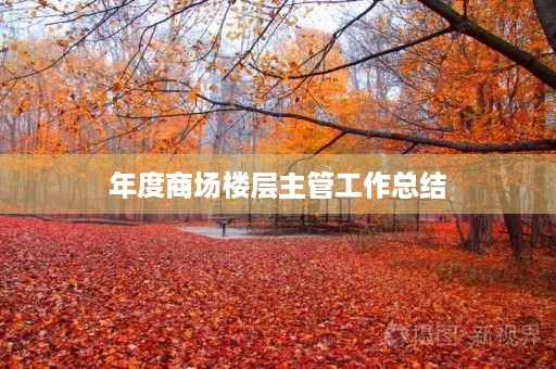 年度商场楼层主管工作总结