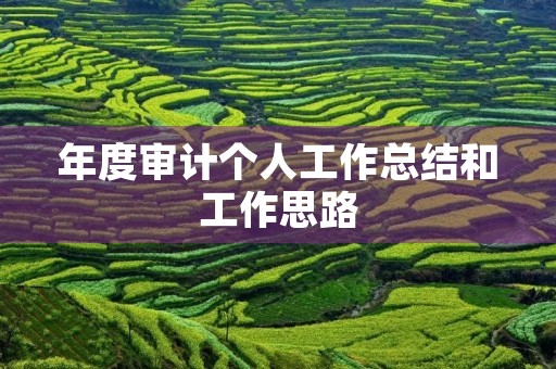 年度审计个人工作总结和工作思路