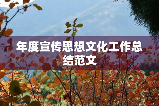 年度宣传思想文化工作总结范文 年度宣传思想文化工作总结范文