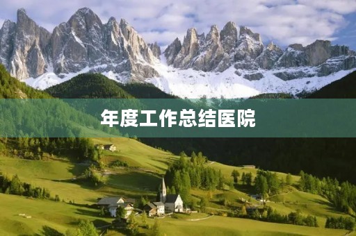 年度工作总结医院