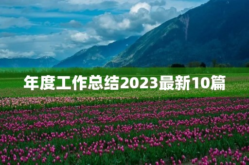 年度工作总结2023最新10篇