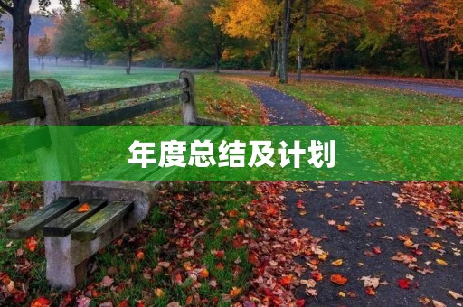 年度总结及计划