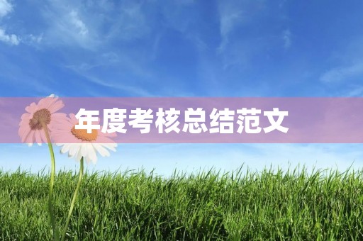 年度考核总结范文