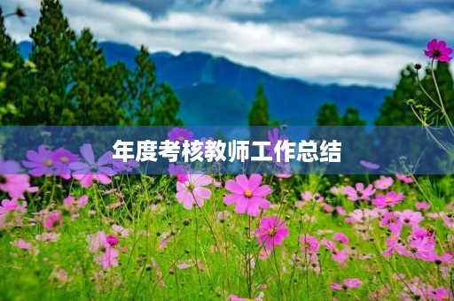 年度考核教师工作总结(10篇)