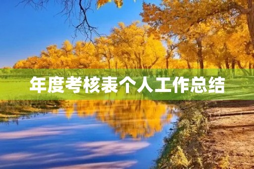 年度考核表个人工作总结