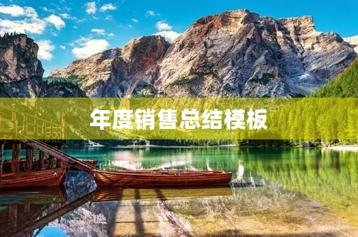年度销售总结模板