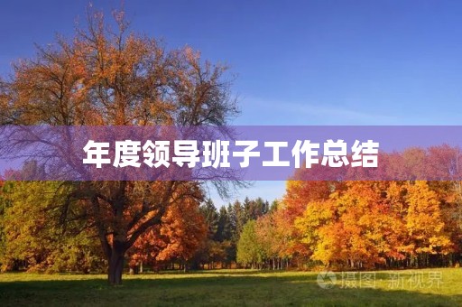 年度领导班子工作总结 年度领导班子工作总结