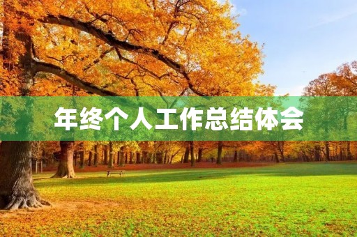 年终个人工作总结体会 年终个人工作总结体会