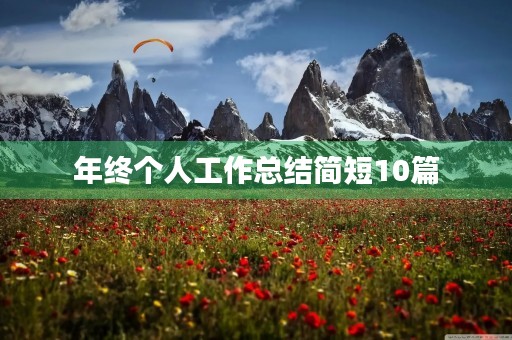 年终个人工作总结简短10篇