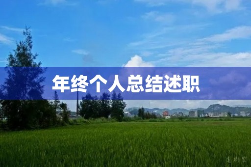 年终个人总结述职