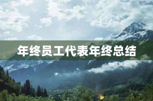年终员工代表年终总结 年终员工代表年终总结