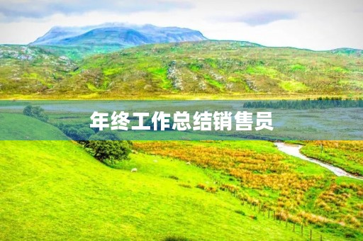 年终工作总结销售员