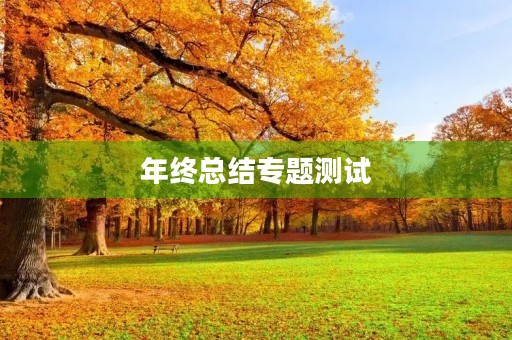 年终总结专题测试