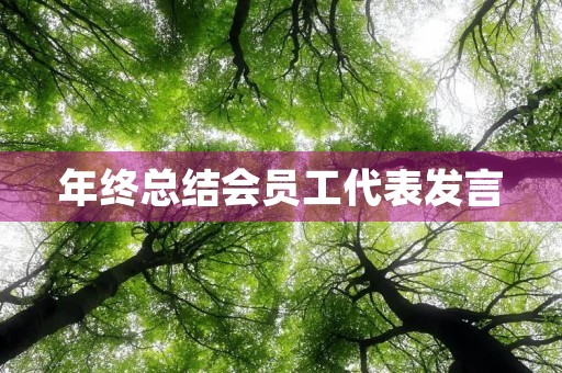 年终总结会员工代表发言