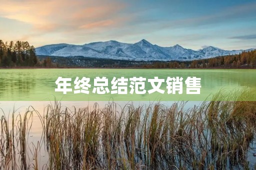年终总结范文销售 年终总结范文销售