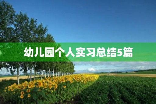 幼儿园个人实习总结5篇