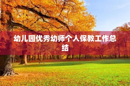 幼儿园优秀幼师个人保教工作总结