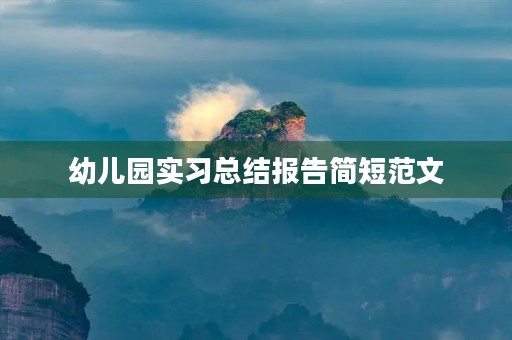幼儿园实习总结报告简短范文