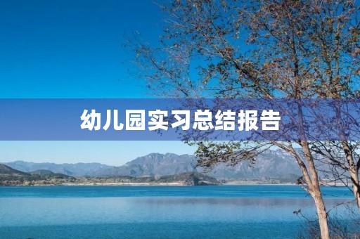 幼儿园实习总结报告
