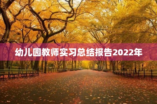 幼儿园教师实习总结报告2022年 幼儿园教师实习总结报告2022年