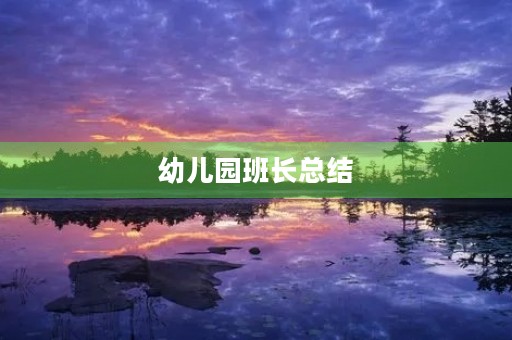 幼儿园班长总结