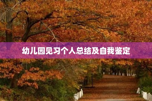 幼儿园见习个人总结及自我鉴定