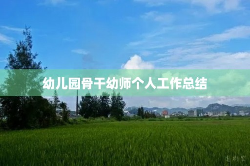 幼儿园骨干幼师个人工作总结
