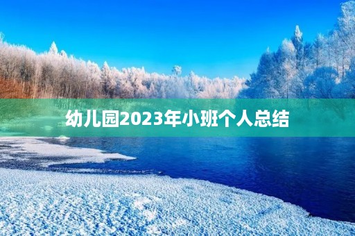 幼儿园2023年小班个人总结