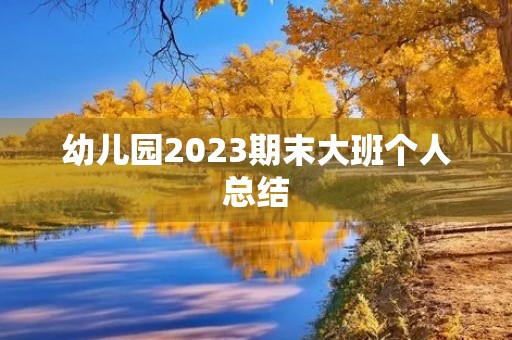 幼儿园2023期末大班个人总结