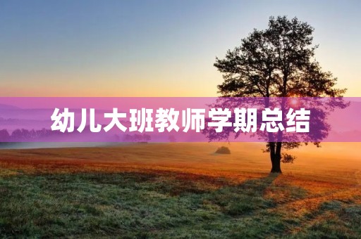 幼儿大班教师学期总结