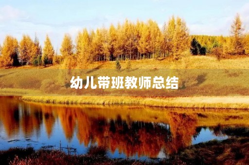 幼儿带班教师总结