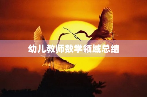 幼儿教师数学领域总结