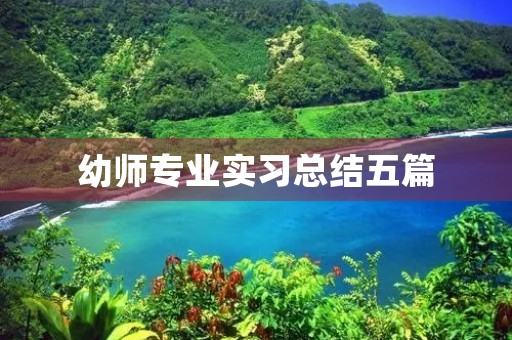 幼师专业实习总结五篇