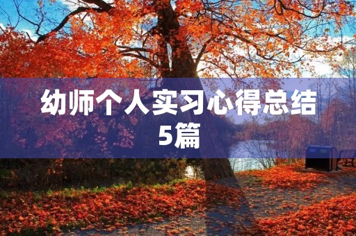 幼师个人实习心得总结5篇