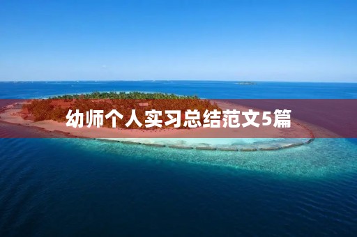幼师个人实习总结范文5篇